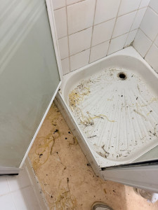 Photo de galerie - Bricolage et multi services