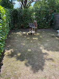 Photo de galerie - Tonte de pelouse - Débroussaillage