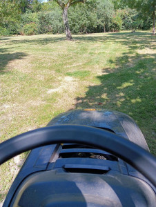 Photo de galerie - Tonte d'un gazon pour un client régulier.