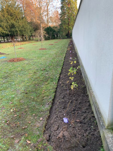 Photo de galerie - Plantation et création de massif