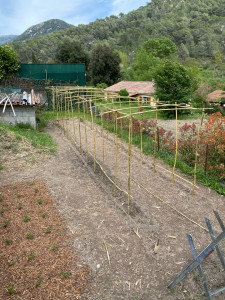 Photo de galerie - Paysagiste - Aménagement du jardin