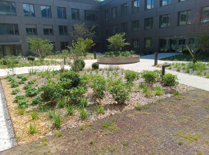 Photo de galerie - Réalisation de jardinière bâche plantation copeaux.