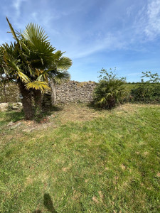 Photo de galerie - Débroussaillage (après)