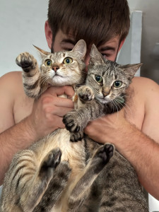 Photo de galerie - Voici mes 2 chat Bella à gauche et indie à droite 
