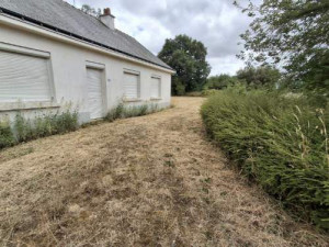 Photo de galerie - Tonte de pelouse - Débroussaillage