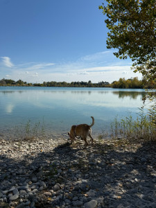 Photo de galerie - Stella