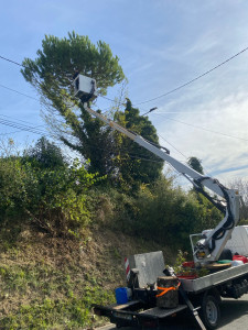 Photo de galerie - Intervention à la nacelle 