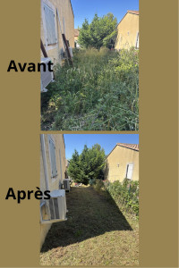 Photo de galerie - Tonte de pelouse - Débroussaillage