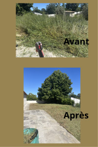 Photo de galerie - Tonte de pelouse - Débroussaillage