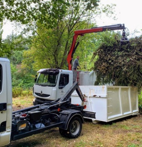 Photo de galerie - Elagage et coupe d'arbres