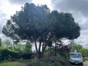 Photo de galerie - Jardinier