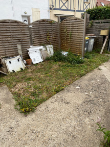 Photo de galerie - Tonte de pelouse - Débroussaillage