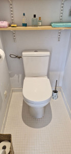 Photo de galerie - Remplacement wc