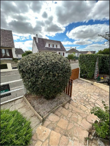 Photo de galerie - Taille de haies et d'arbustes
