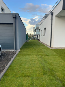 Photo de galerie -  gazonnes au rouleau 