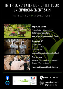 Photo de galerie - MLT Solutions