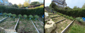 Photo de galerie - Plantation arbustes