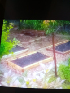 Photo de galerie - Confection d'un jardin potager 