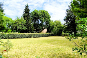 Photo de galerie - Paysagiste - Aménagement du jardin