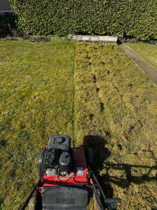 Photo de galerie - Tonte de pelouse - Débroussaillage