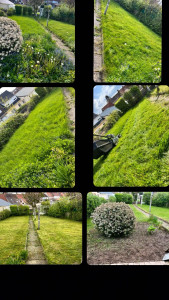Photo de galerie - Tonte de pelouse super haute , est nettoyage de parterre de fleurs 