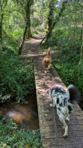 Photo de galerie - • Promenade •