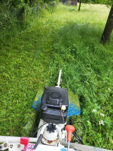 Photo de galerie - Débroussailleuse pour haute herbe