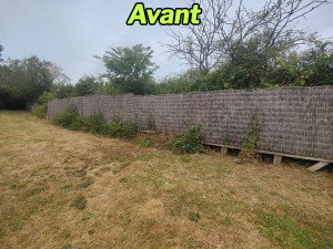 Photo de galerie - Avant: débroussaillage d'un brise vue