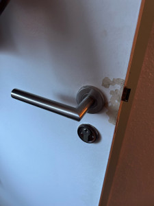 Photo de galerie - Remplacement poignée sur rosaces de porte d’entrée 