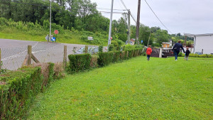 Photo de galerie - Taille de haie