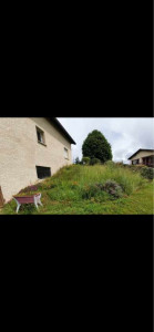 Photo de galerie - Tonte de pelouse - Débroussaillage