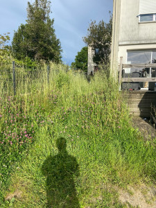 Photo de galerie - Tonte de pelouse - Débroussaillage