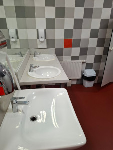 Photo de galerie - Nettoyage des sanitaires 