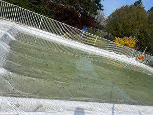 Photo de galerie - Entretien piscine