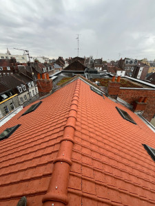 Photo de galerie - Toiture 120m2 / 6 velux / chenaux 