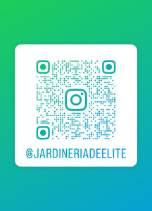 Photo de galerie - Instagram 