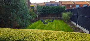 Photo de galerie - Tonte/taille/mise au propre 