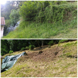 Photo de galerie - Tonte de pelouse - Débroussaillage