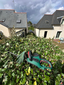 Photo de galerie - Taille de haies et d'arbustes