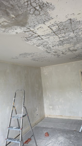 Photo de galerie - Peinture - Tapisserie