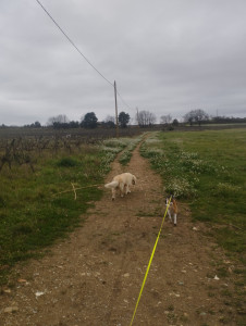 Photo de galerie - Pa d'ou & Mya