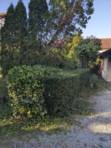 Photo de galerie - Après 