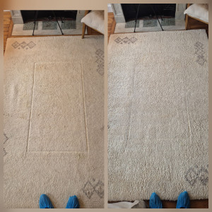 Photo de galerie - Shampouineuse