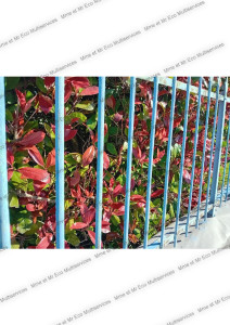 Photo de galerie - Bricolage et multi services