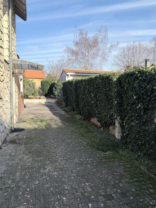 Photo de galerie - Rabattage et taille de lierre, rampant sur un mur (après) 