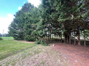 Photo de galerie - Elagage et coupe d'arbres