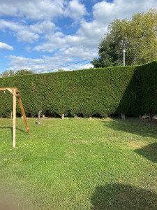 Photo de galerie - Taille de haie