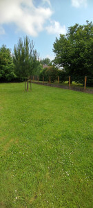 Photo de galerie - Avant 