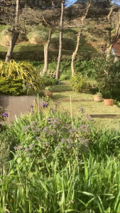 Photo de galerie - Entretien jardin 