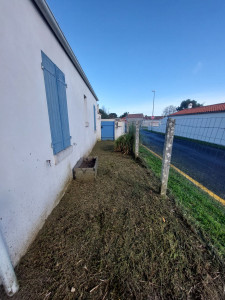 Photo de galerie - Tonte de pelouse - Débroussaillage